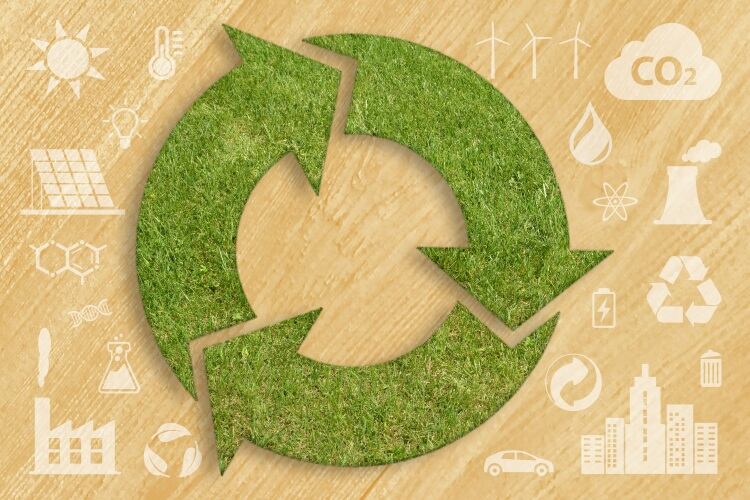 Government calls on producers to bear cost of recycling