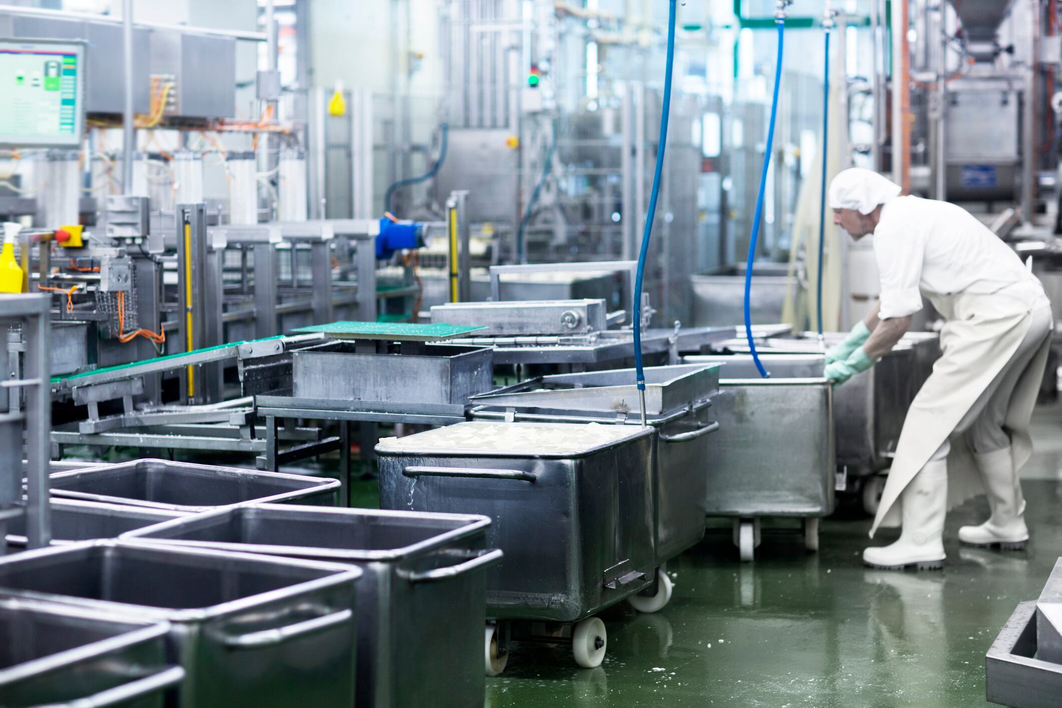 Male worker working in organic tofu production factory
