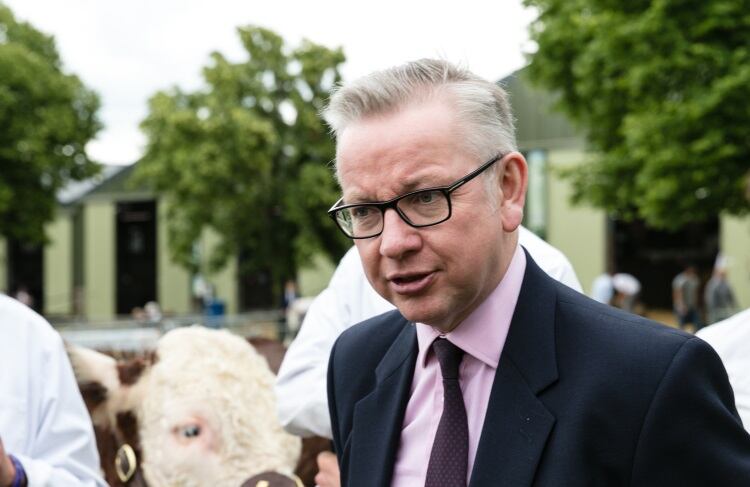 Government called on to pause non-Brexit consultations