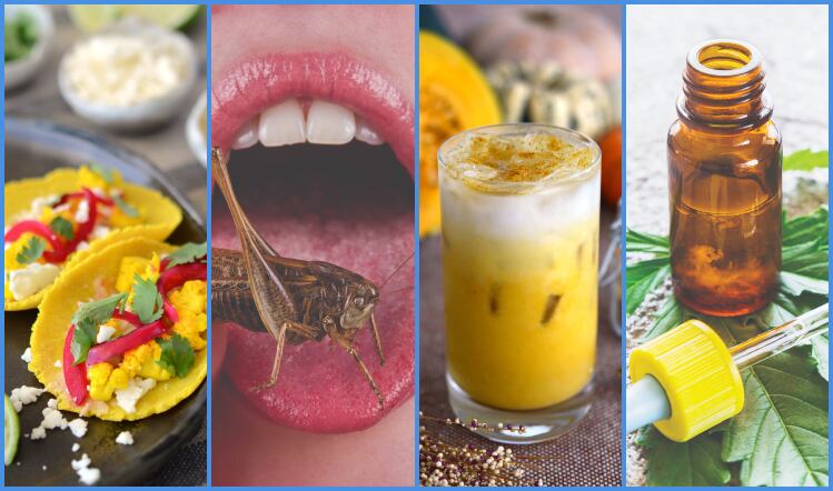 Ingredients innovation: the pick of what’s to come