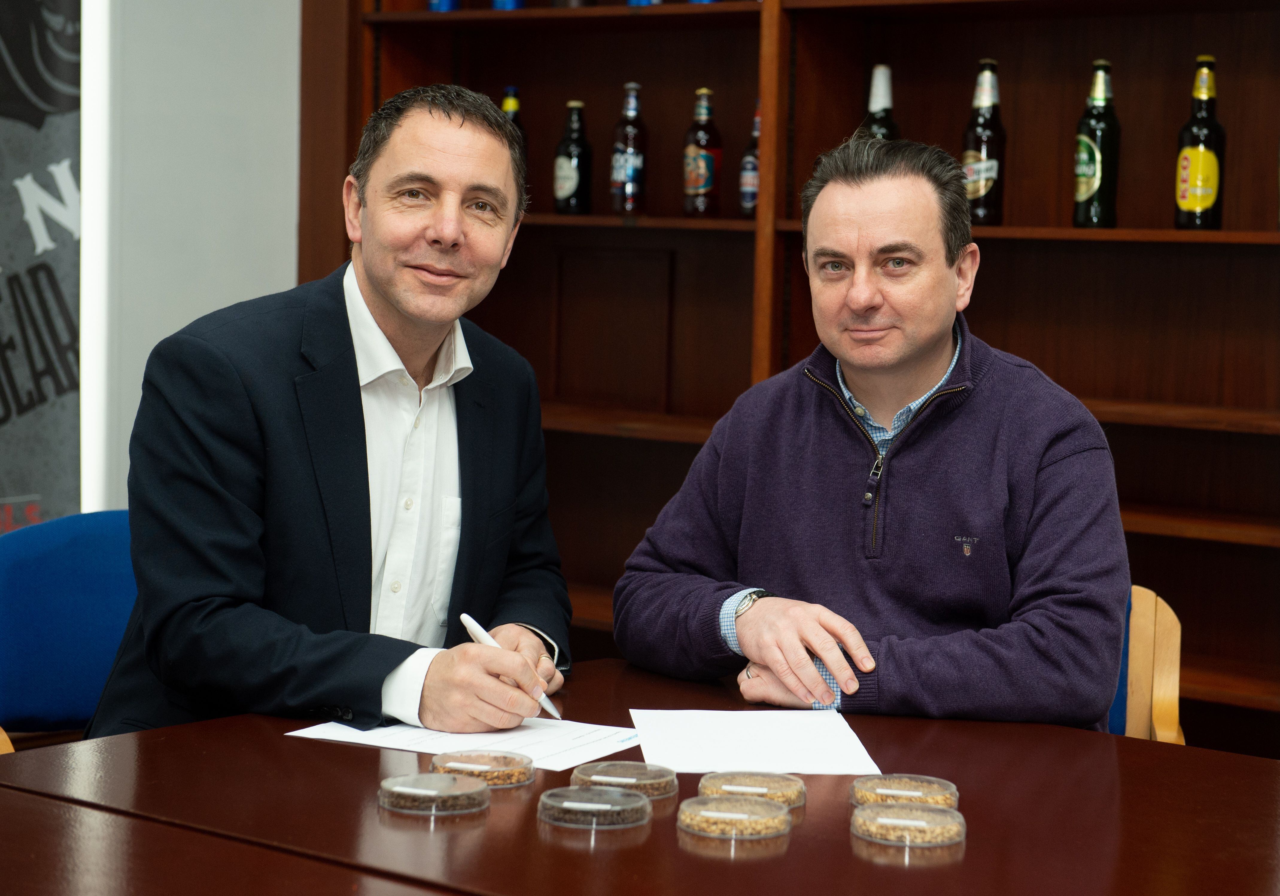 Siemens to help malt firm slash costs