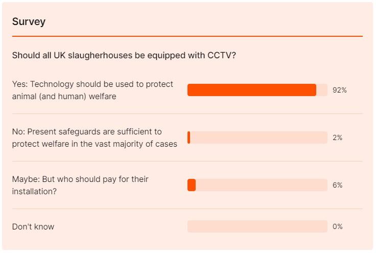 survey_246965.jpg