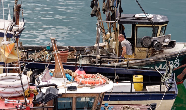 Fish in the frame as UK leaves EU