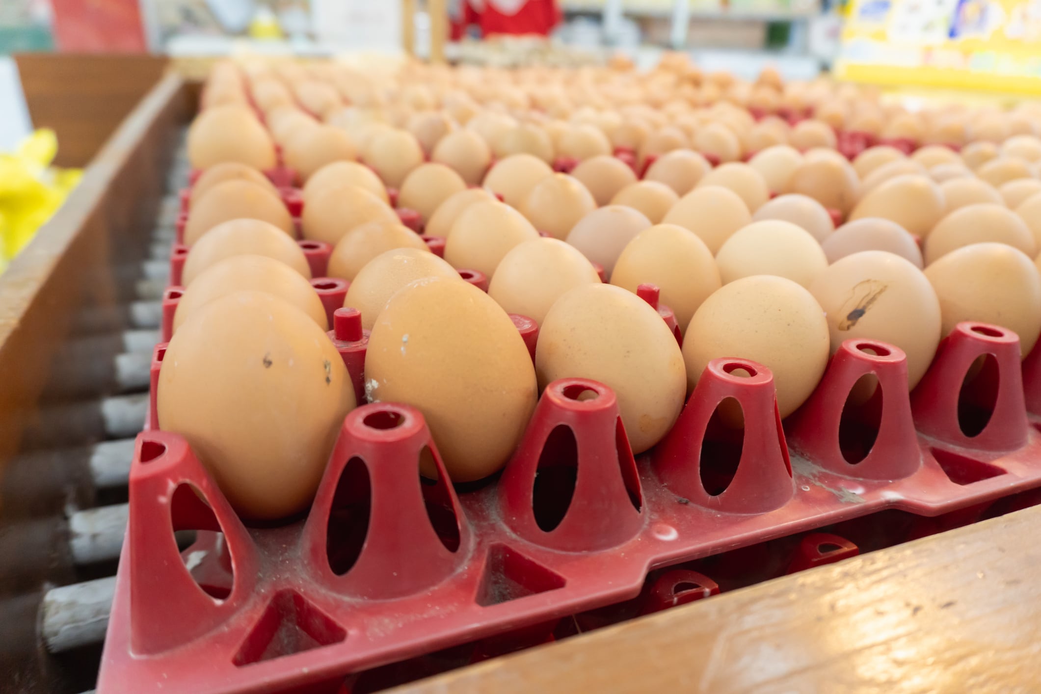 Eggs