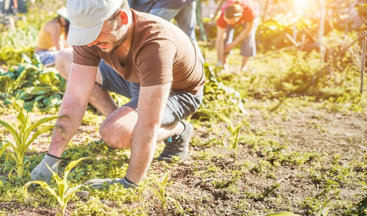 NFU pushes for system to match produce growers with labour