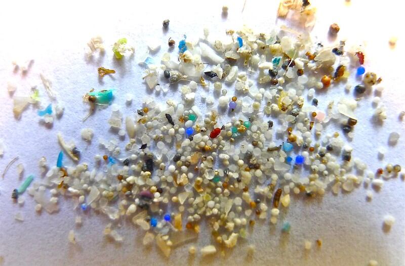 Microplastics harm human health, warn experts 