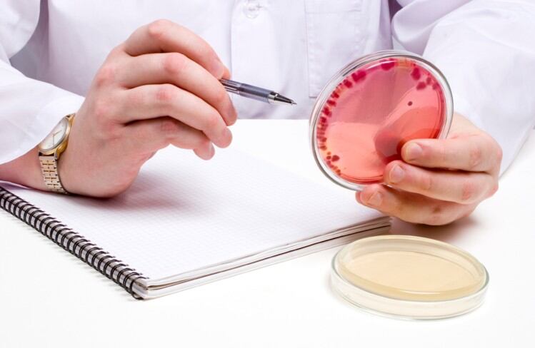 EC changes to Listeria regulation ‘will not improve food safety’ 