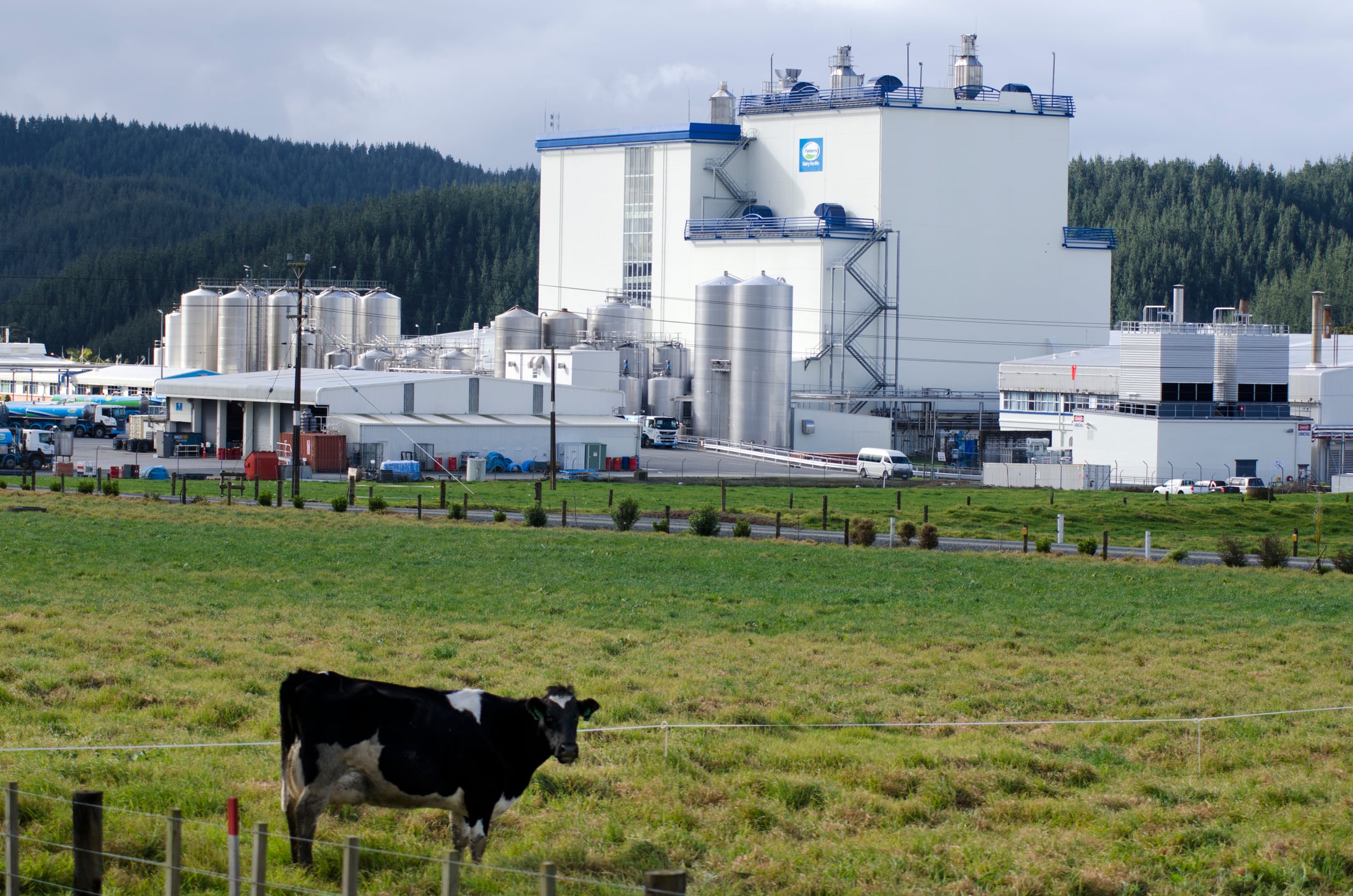A dairy plant