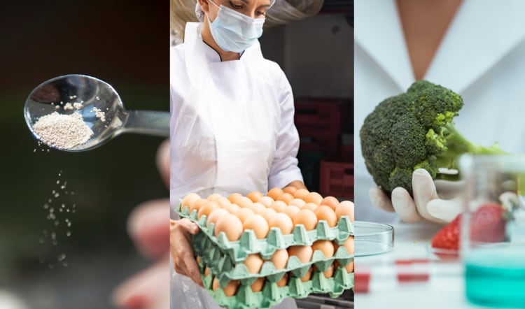 Enzymes and yeast: More than just raising dough