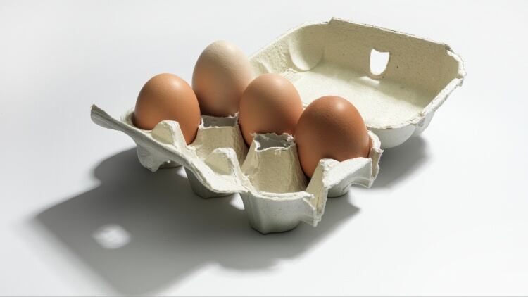 Food industry reacts to proposed changes to egg labelling rules