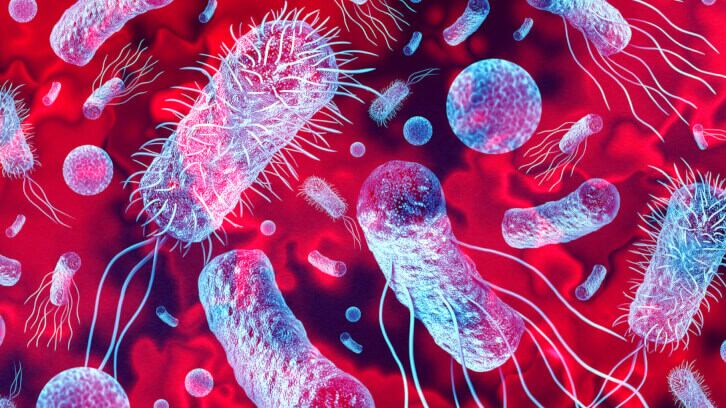 ‘Shocking’ proposals to EU Listeria regs revealed