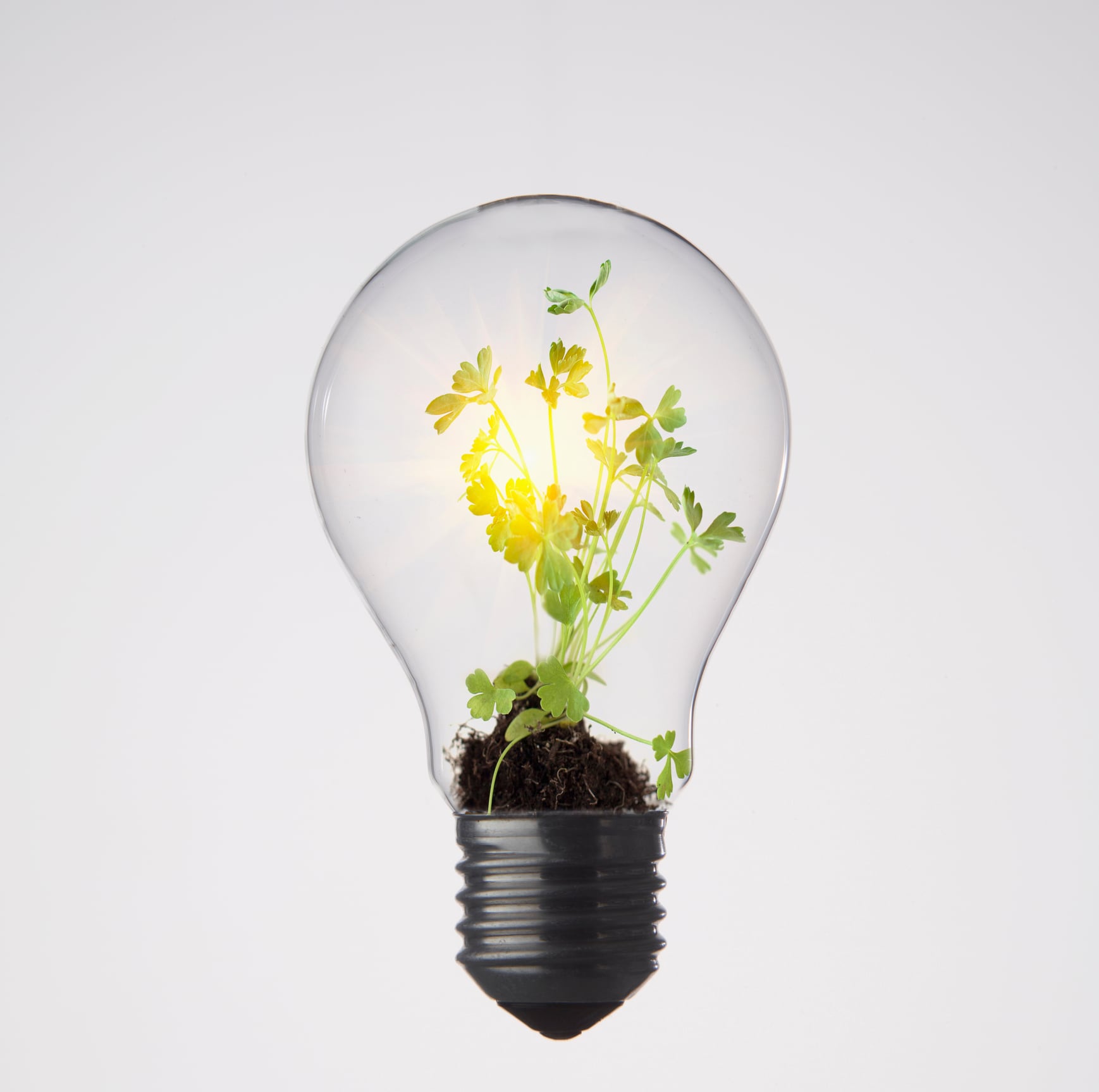 Mars European snack factories now fully powered by renewable energy