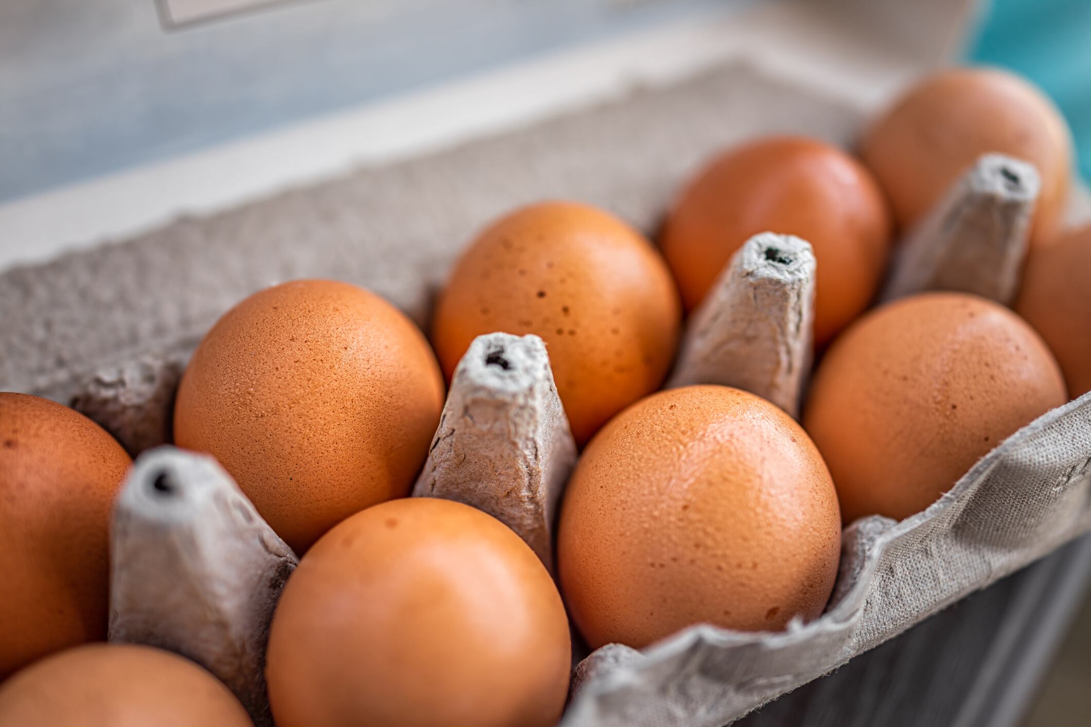 Bird Bros hatches £1m robot investment plan
