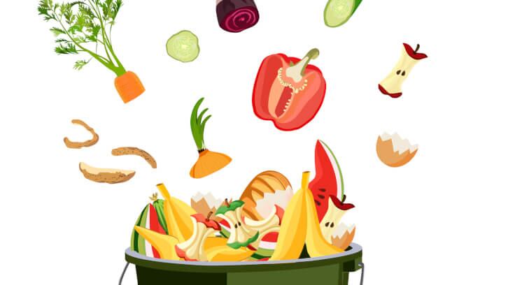 Food Waste Champion appointed