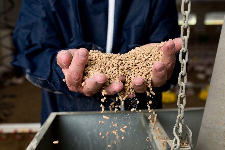 Moy Park becomes UK sustainable soybean trailblazer