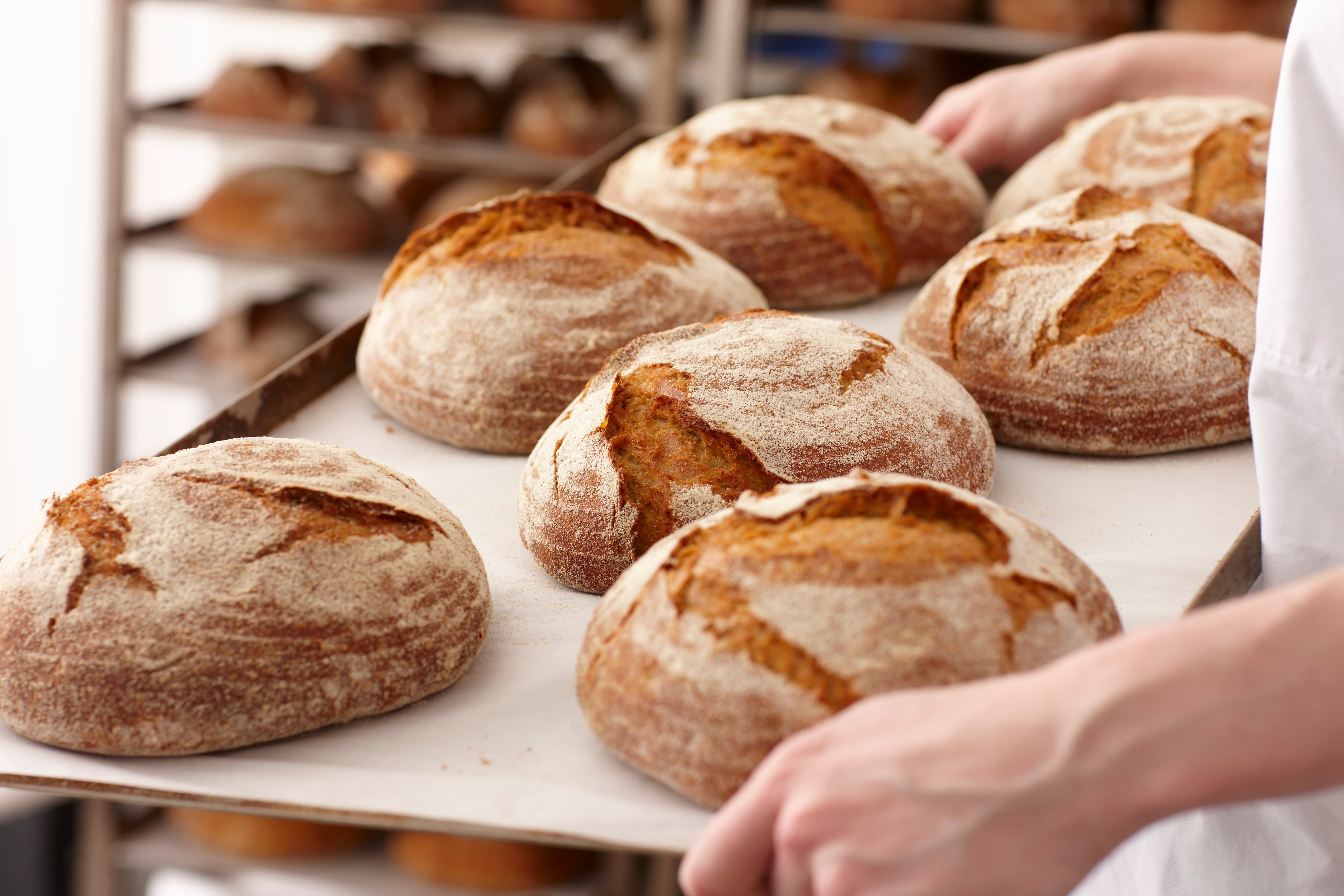 Morrisons weighs closure of Rathbones bakery with 400 jobs at risk 