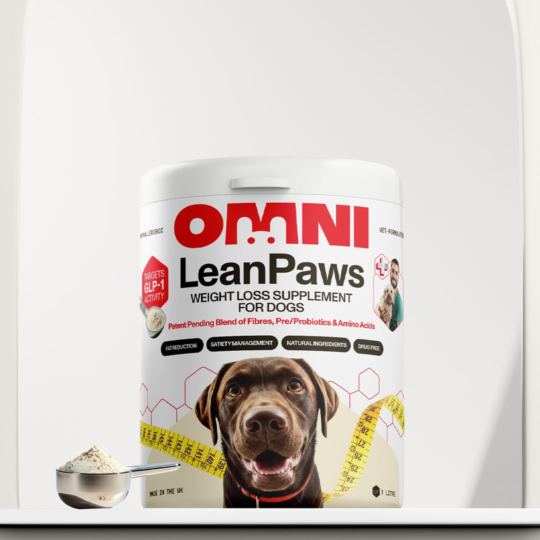 Ozempic for dogs? Pet food innovation goes to next level