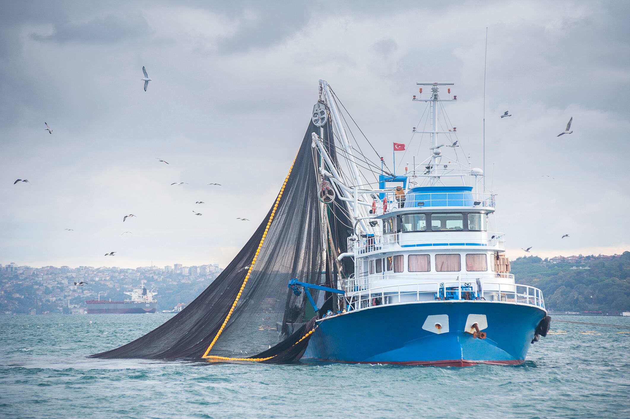 Scotland taskforce urged to protect seafood industry 