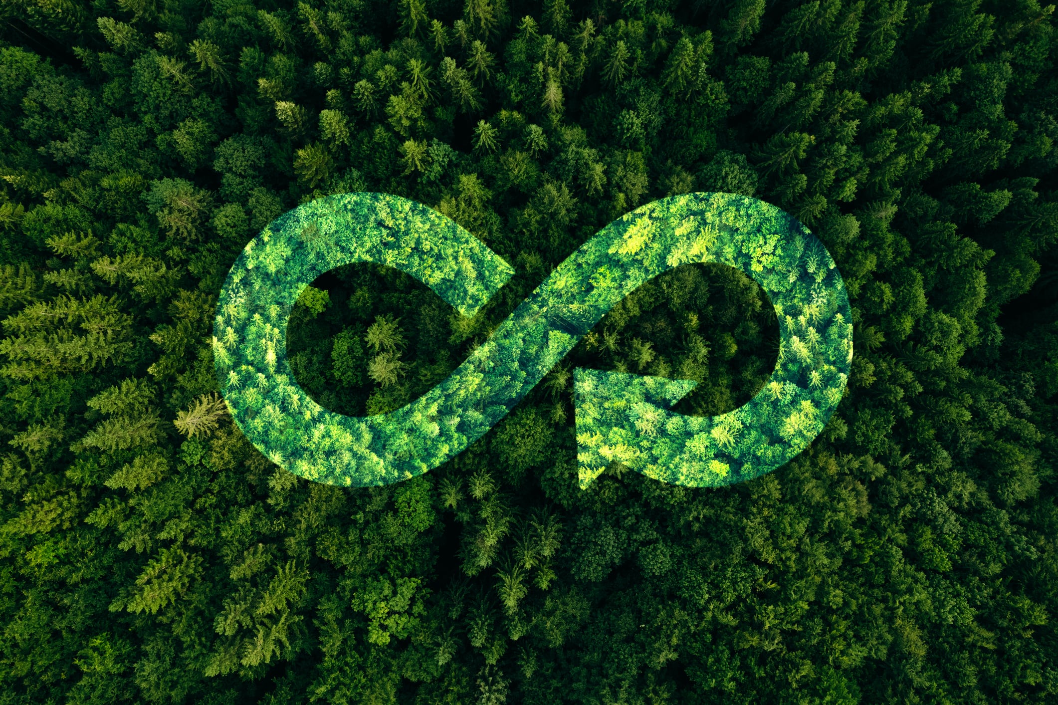 Harnessing blockchain to solve supply chain and circular economy challenges