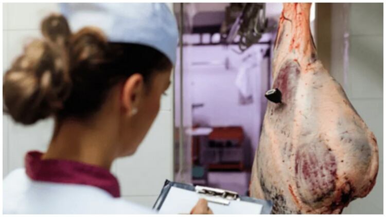 Meat-Business-Women-2023-industry-report.jpg