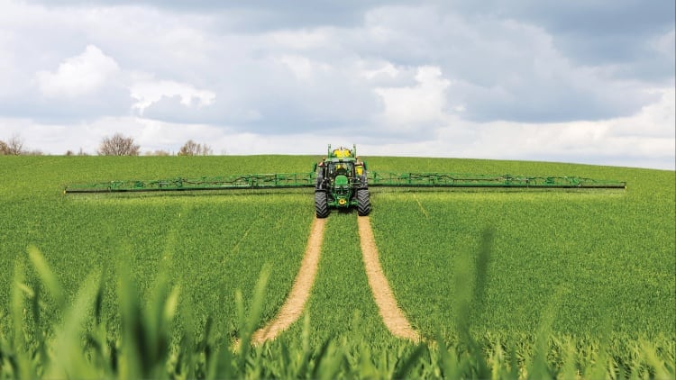 Septoria ‘perfect storm’ threatens crop yields