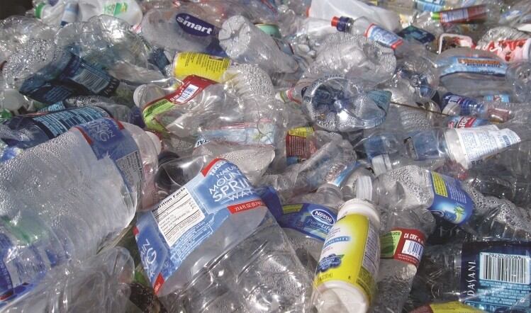 Government inaction provides environmental chances for food firms
