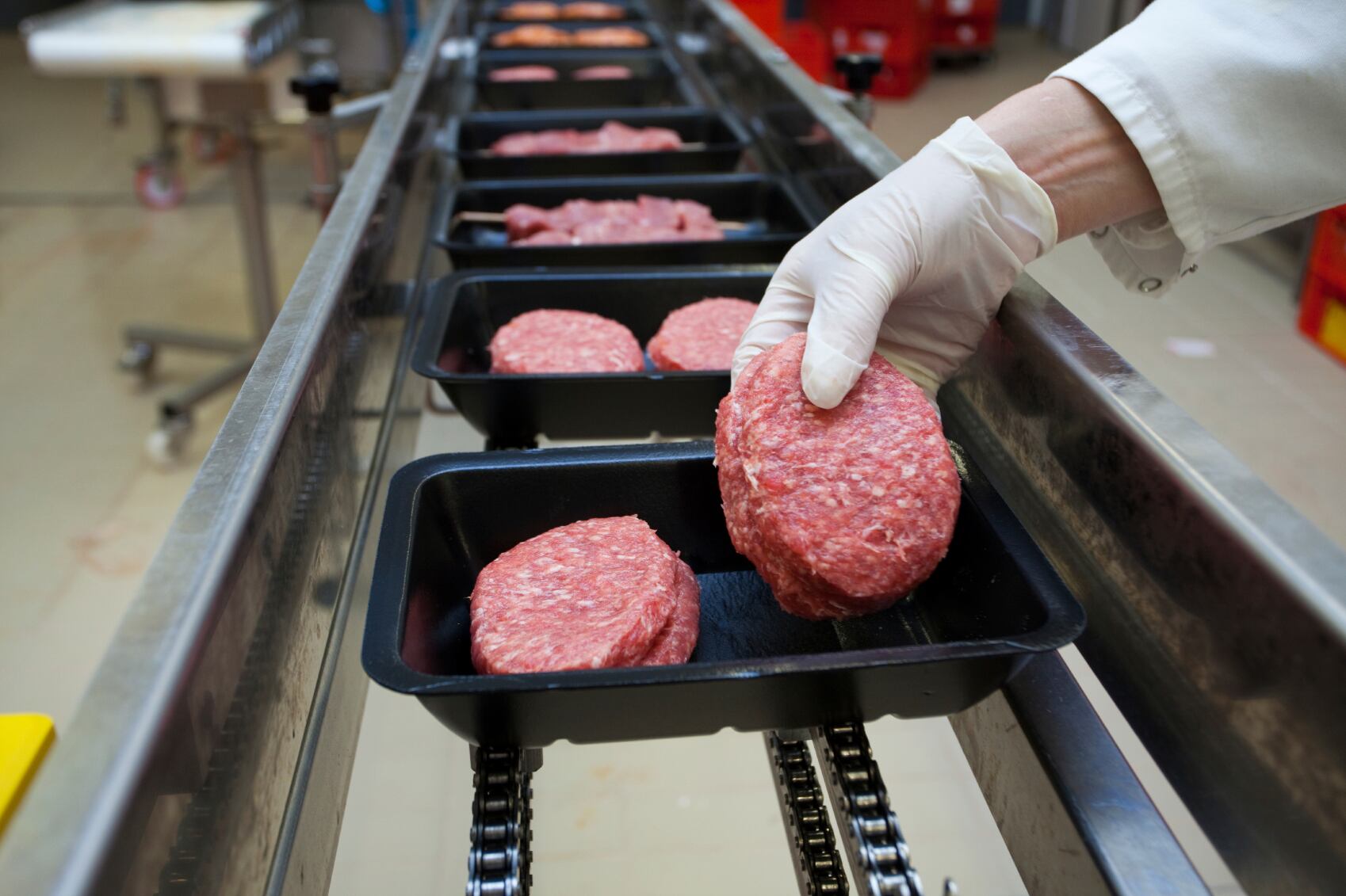Meat processors face millions in costs sourcing overseas labour 
