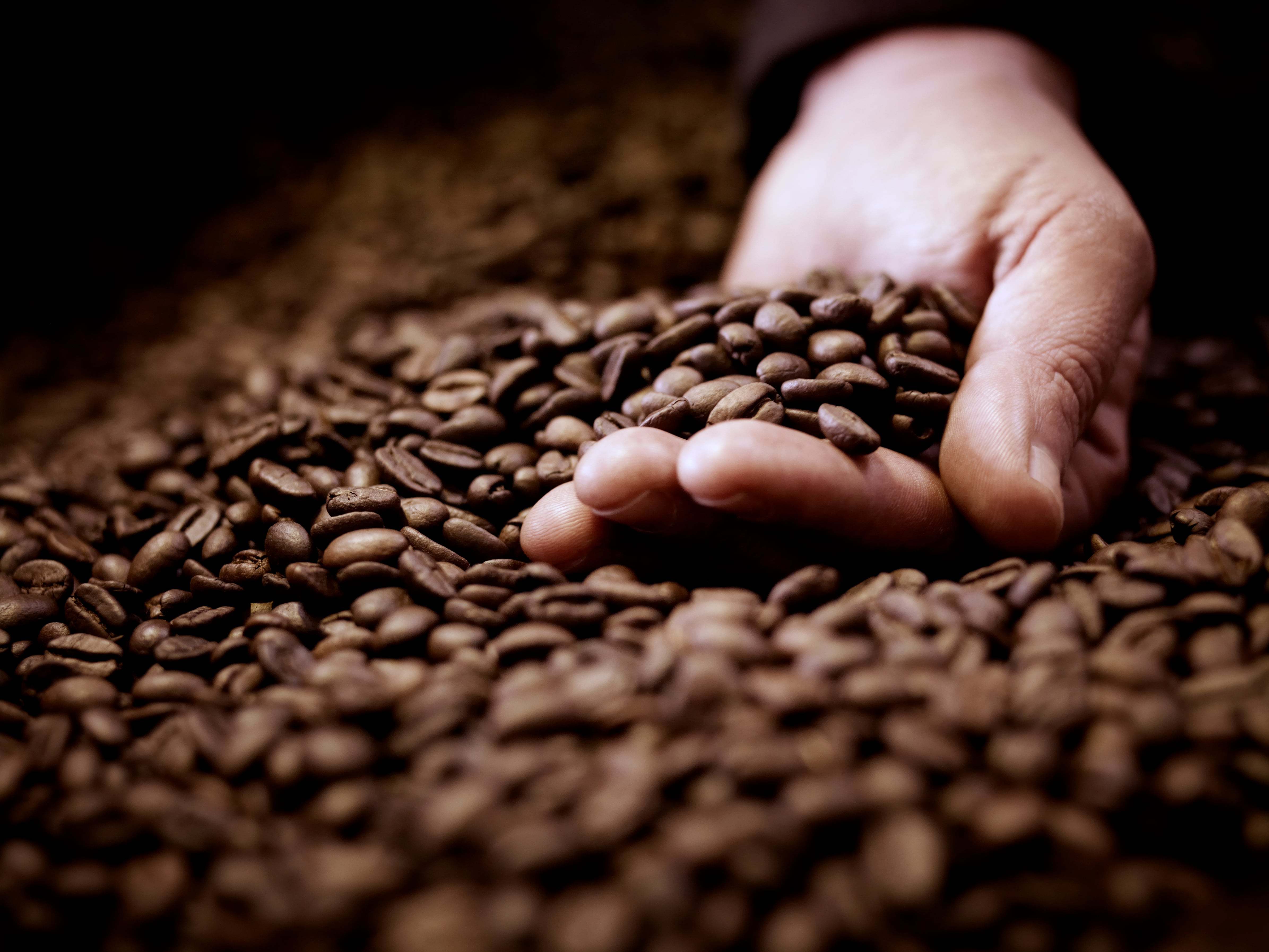 Pact Coffee CEO: ‘We dominate in subscriptions’