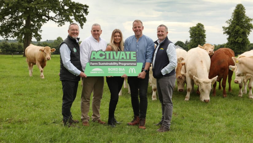 McDonald’s backed beef programme sees €4.4m investment
