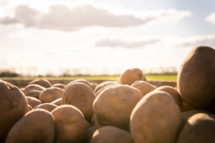 McCain invests £35m in British farming