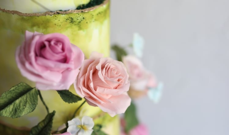 Senior hires the icing on the cake for Create Better Group