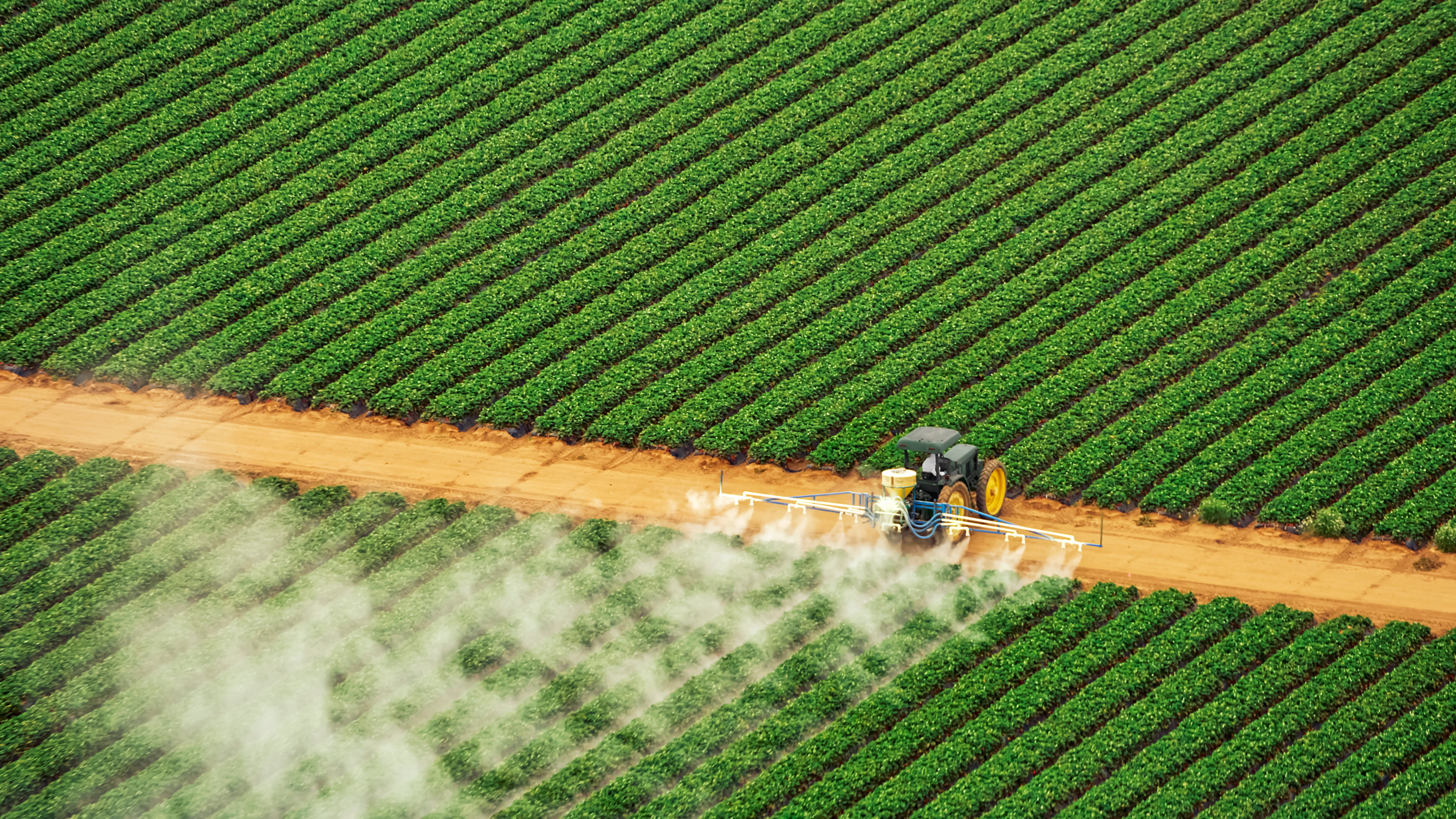 Big Oil turning to food systems as new growth area