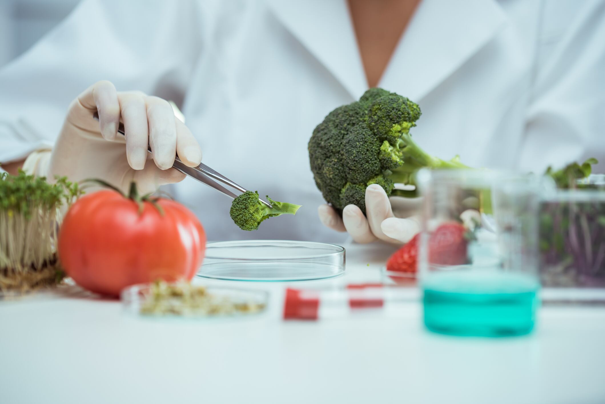 GettyImages-644361982-broccoli-in-a-lab-testing.jpg