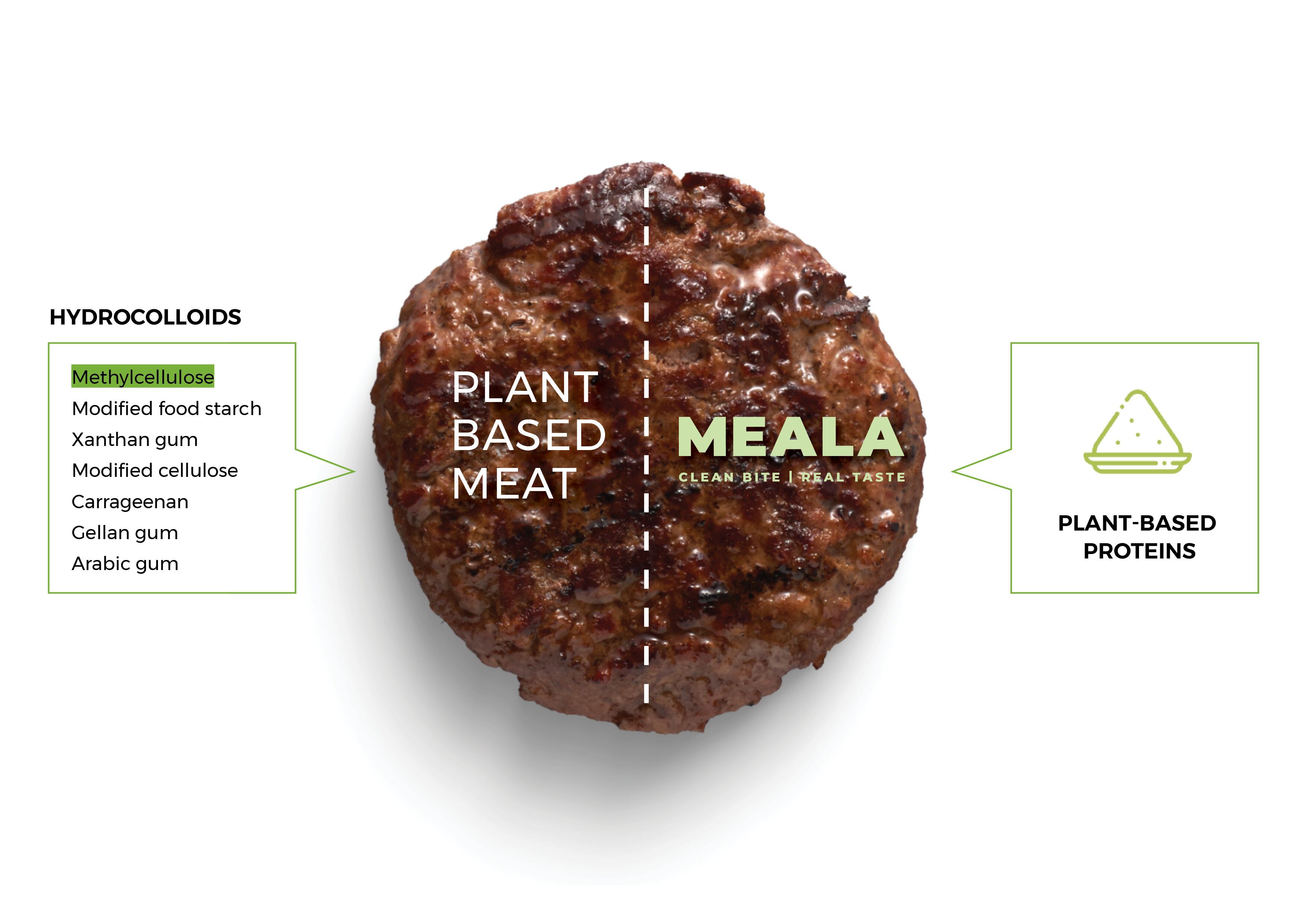 Meala-infographic1.jpg
