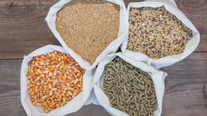 2-Sisters-owner-feed-deal-may-raise-prices-for-farmers-CMA.jpg