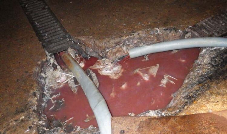Odour pollution lands chicken slaughterhouse with £300k fine