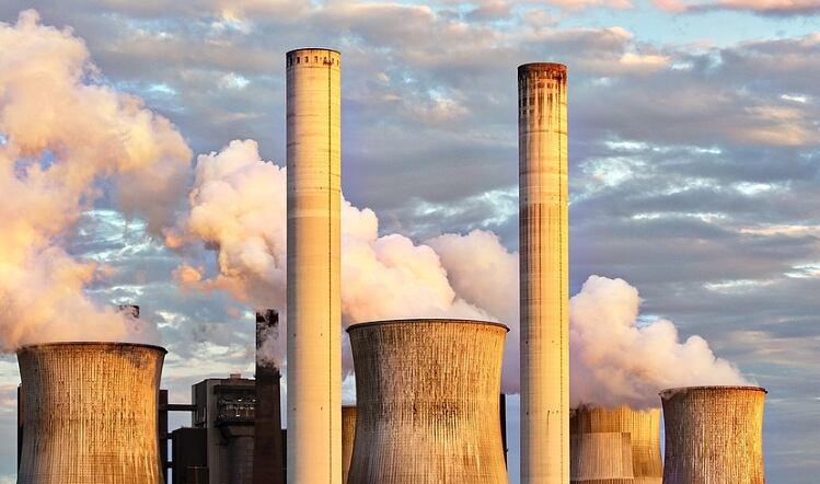 FDF presses Government on net zero