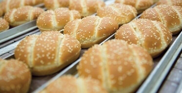 Baker Finsbury Food Group posts sales and profit growth