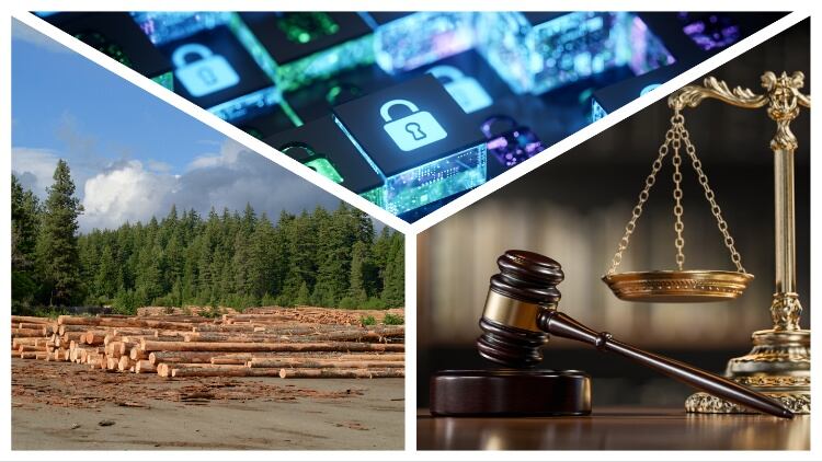 deforestation, gavel and scale, and cybersecurity concept
