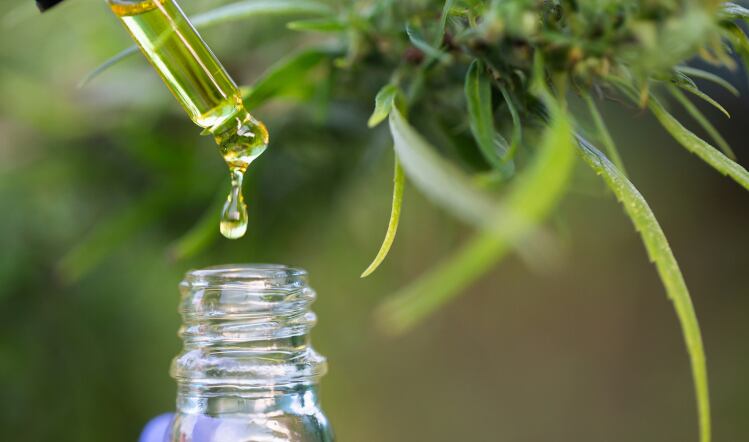 Last chance to register CBD products