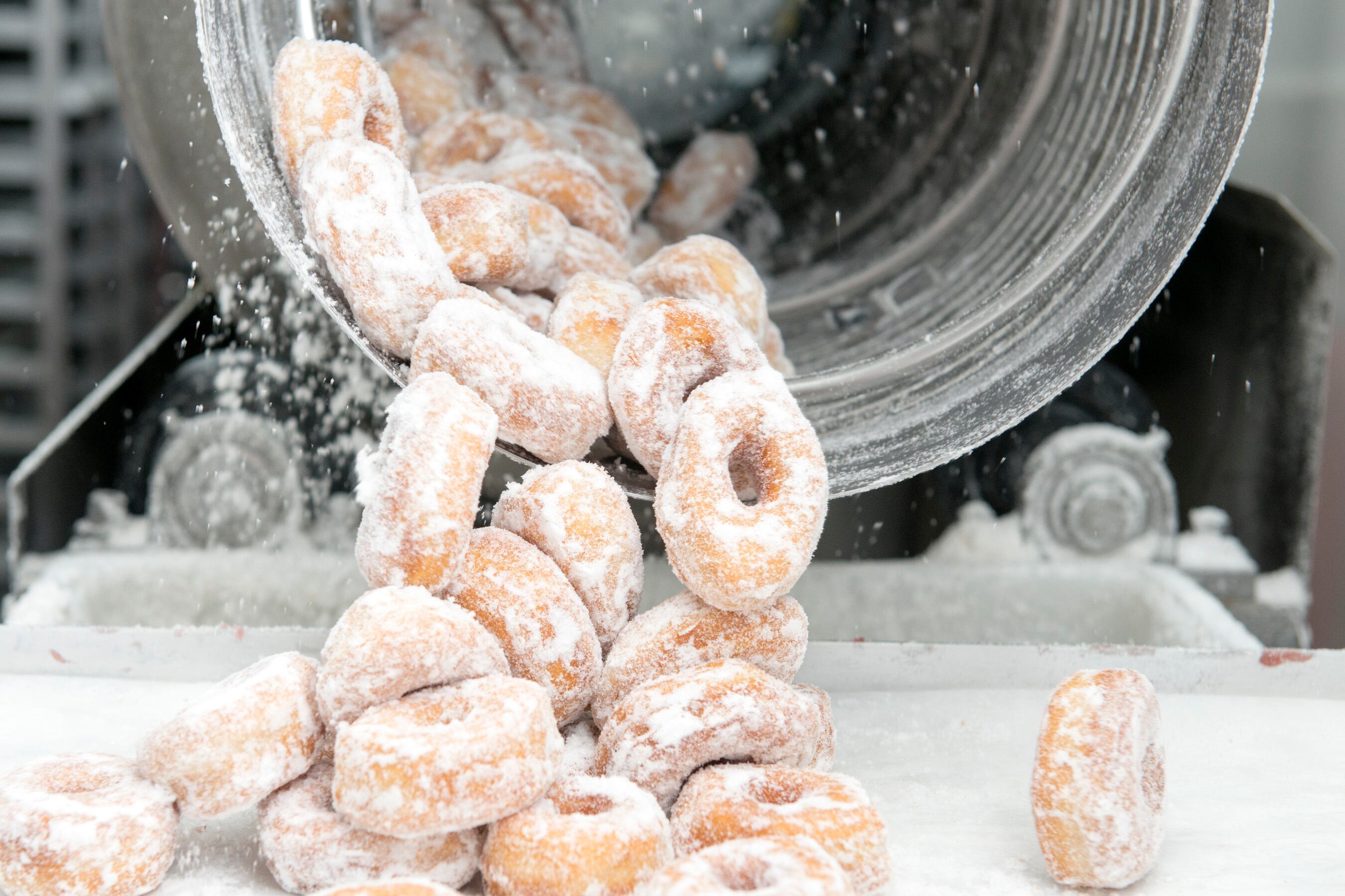 Doughnuts being manufactured in a factory