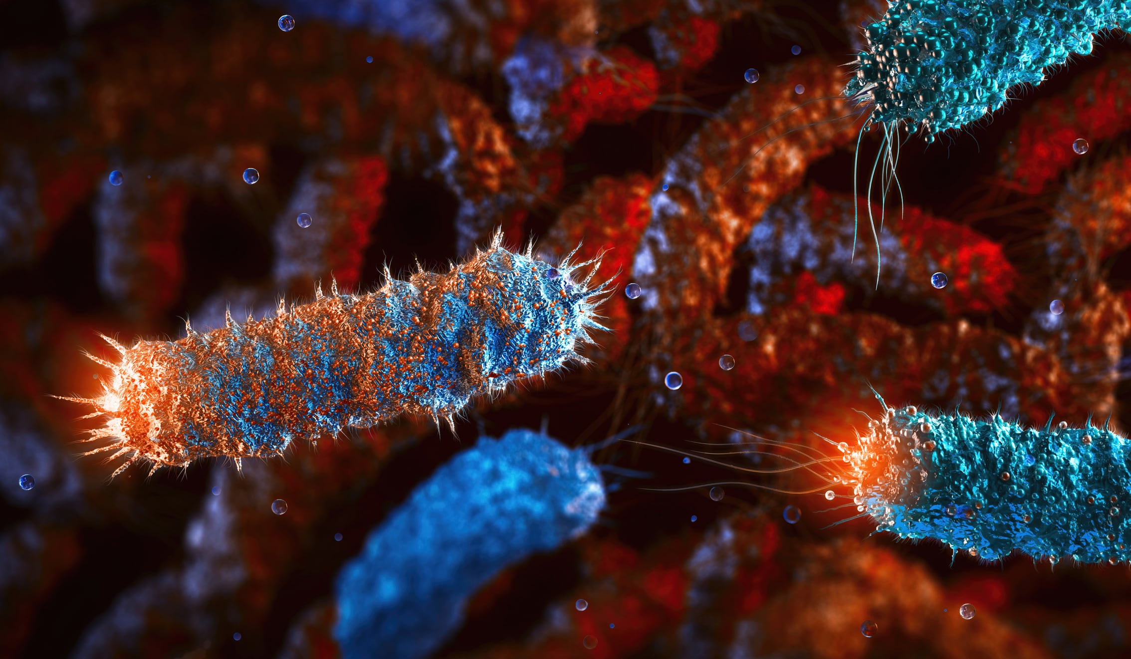 Salmonella outbreak risk linked to climate crisis