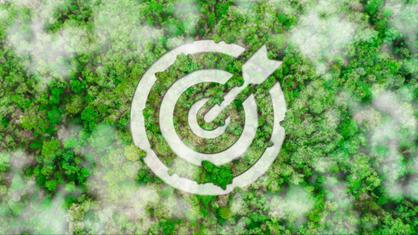 Sustainability target blindness: Are we missing the wood for the trees?