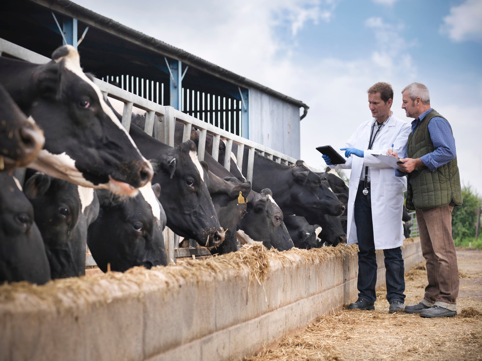 Veterinary sector faces crisis of leadership and vision: AIMS