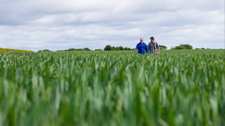 Price of farmland rises in England and Wales