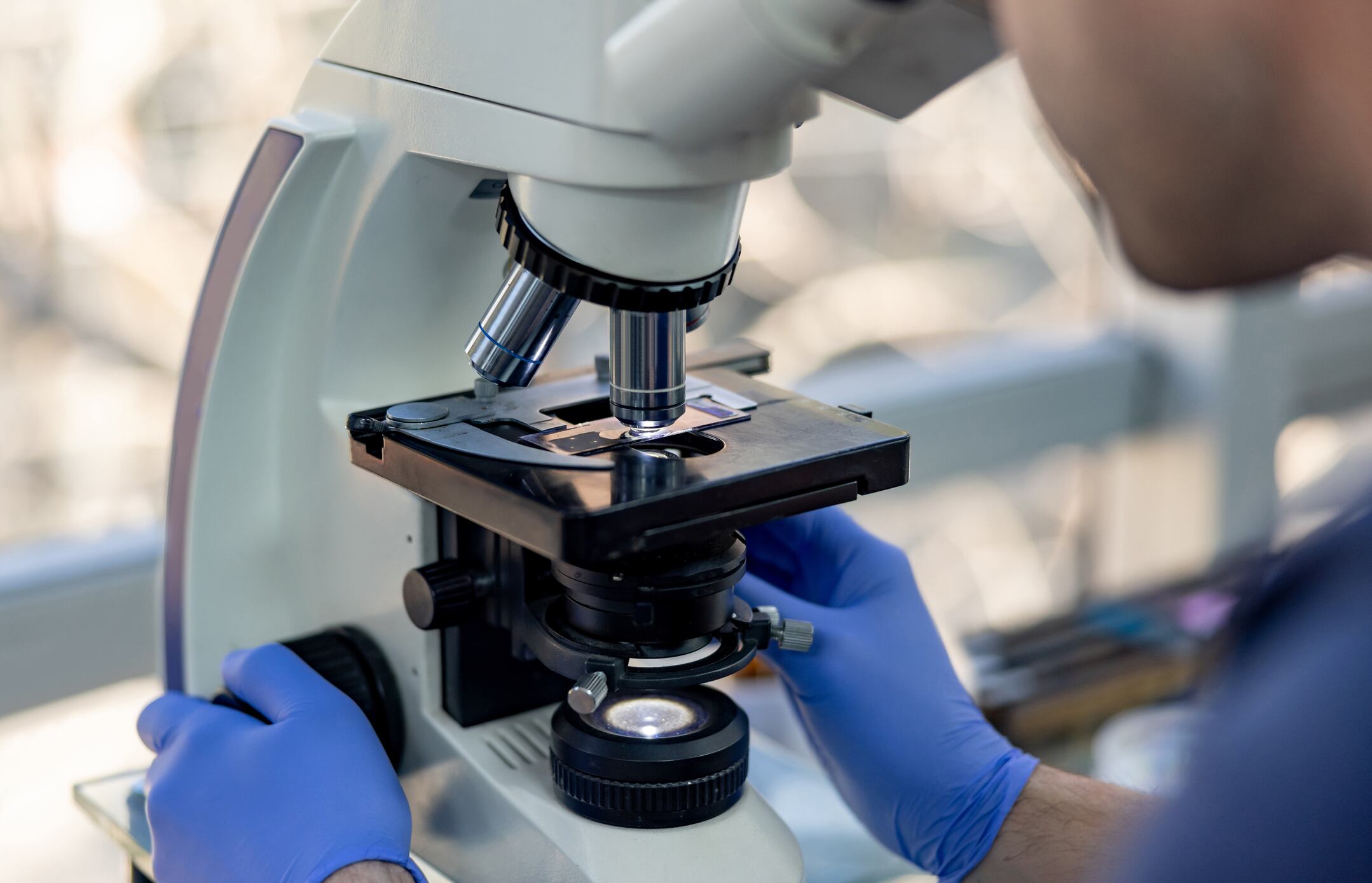 Cell-cultivated seafood partnership brings commercialisation one step closer 