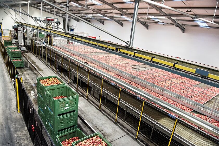 Fruit supplier Bardsley England acquired by Camellia
