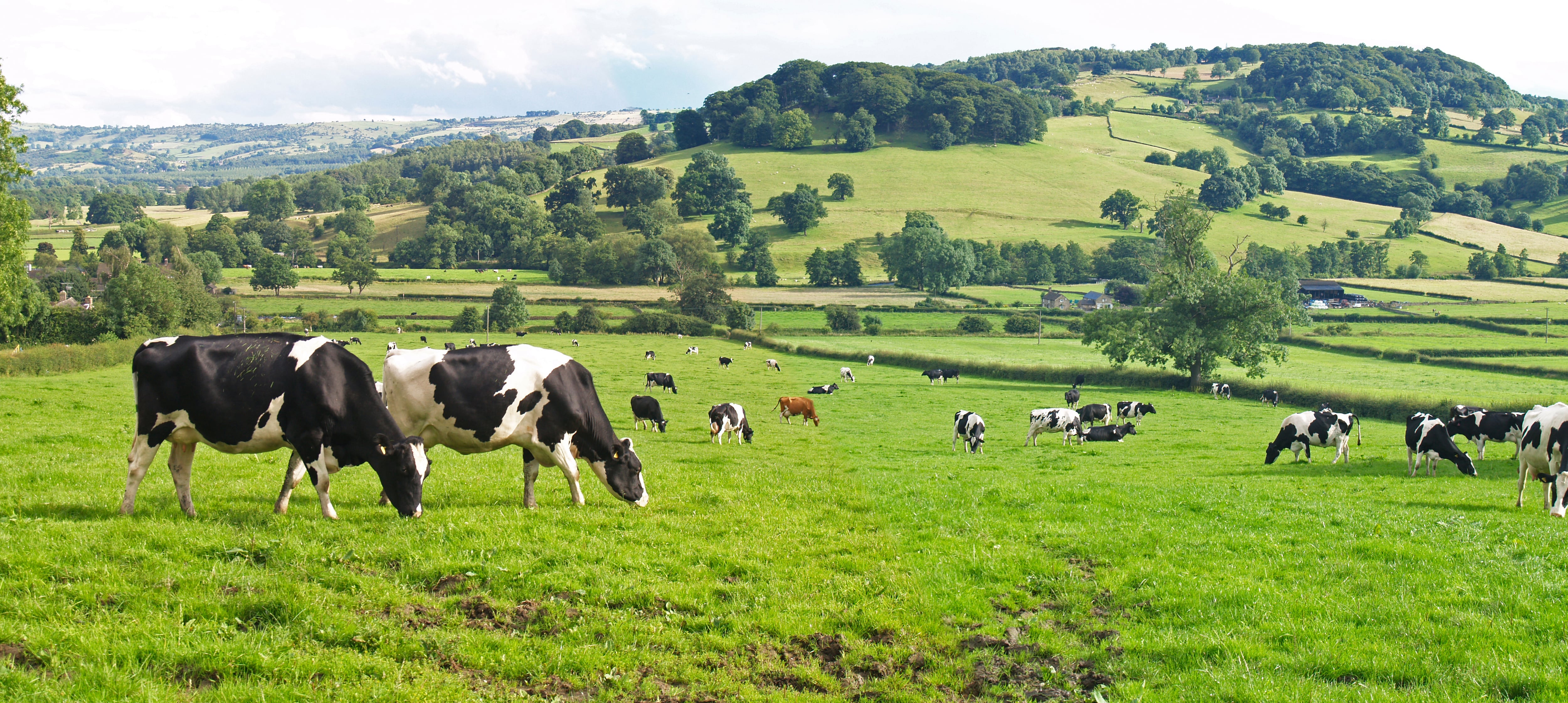 UK must maintain momentum on cutting methane emissions, urges Lords Committee