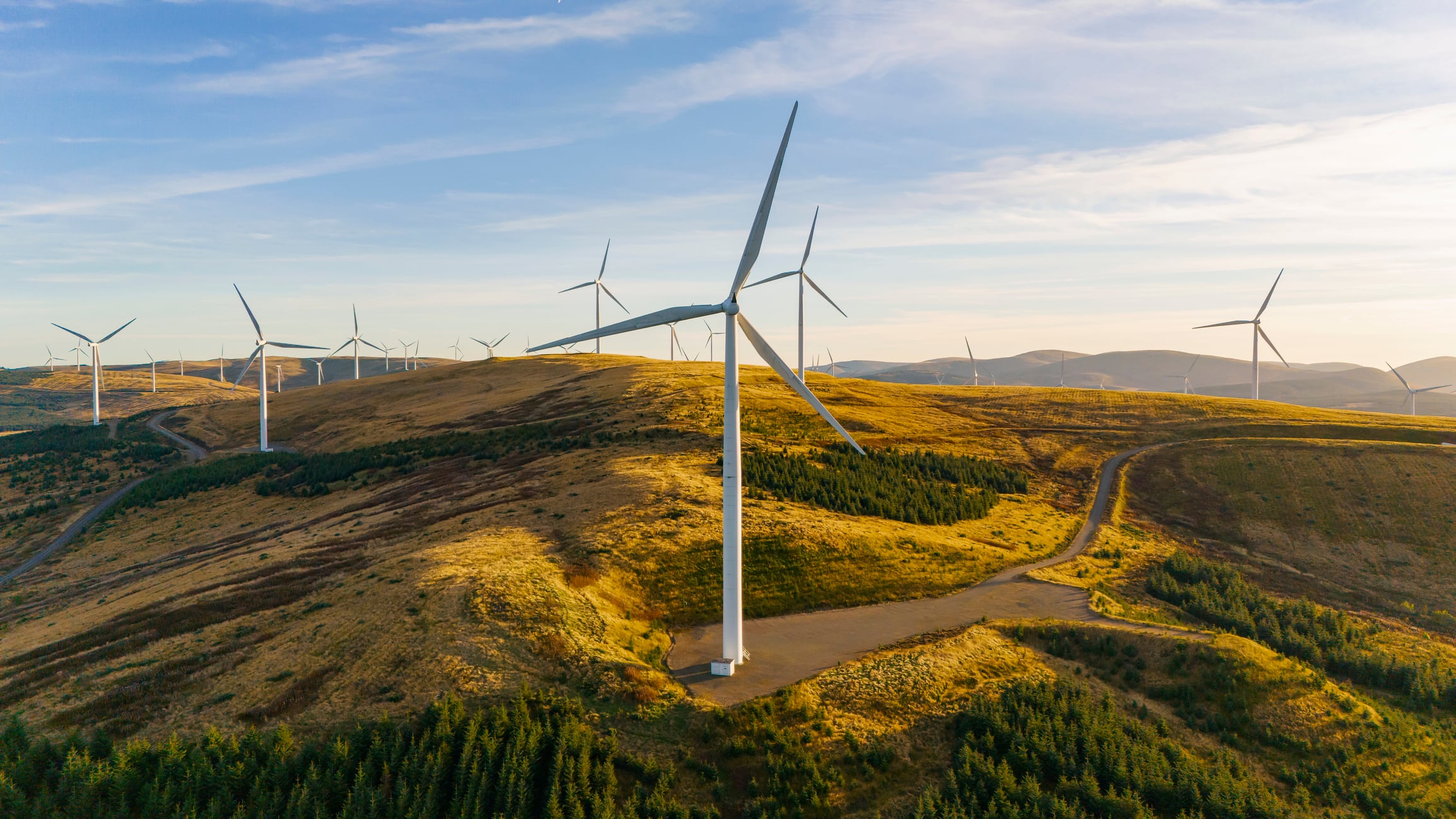 Lithuanian wind farm to help power Mars pet food factory