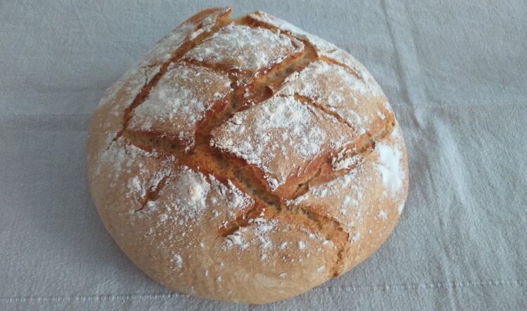 Campaign group slams sourdough code of practice